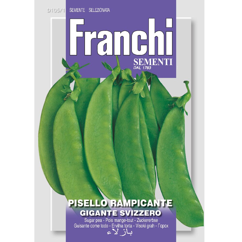 Pea Sugar Snap Carouby