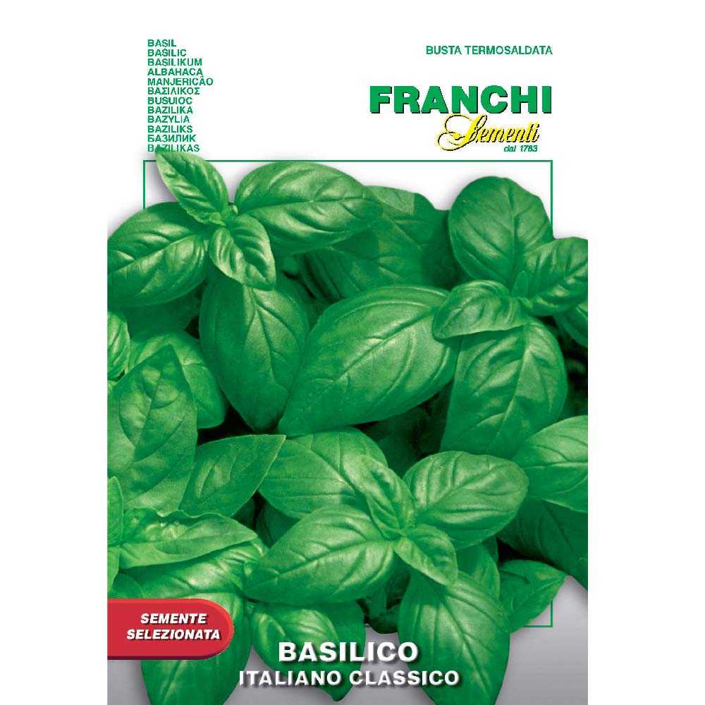 Basil Italiano Classico Seeds