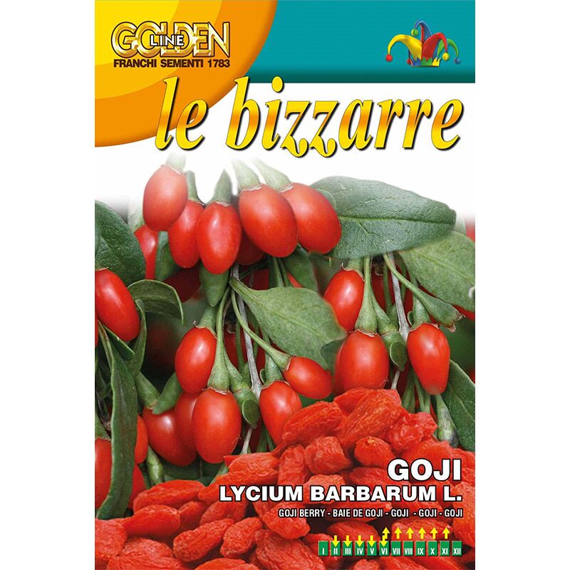 Goji Berry