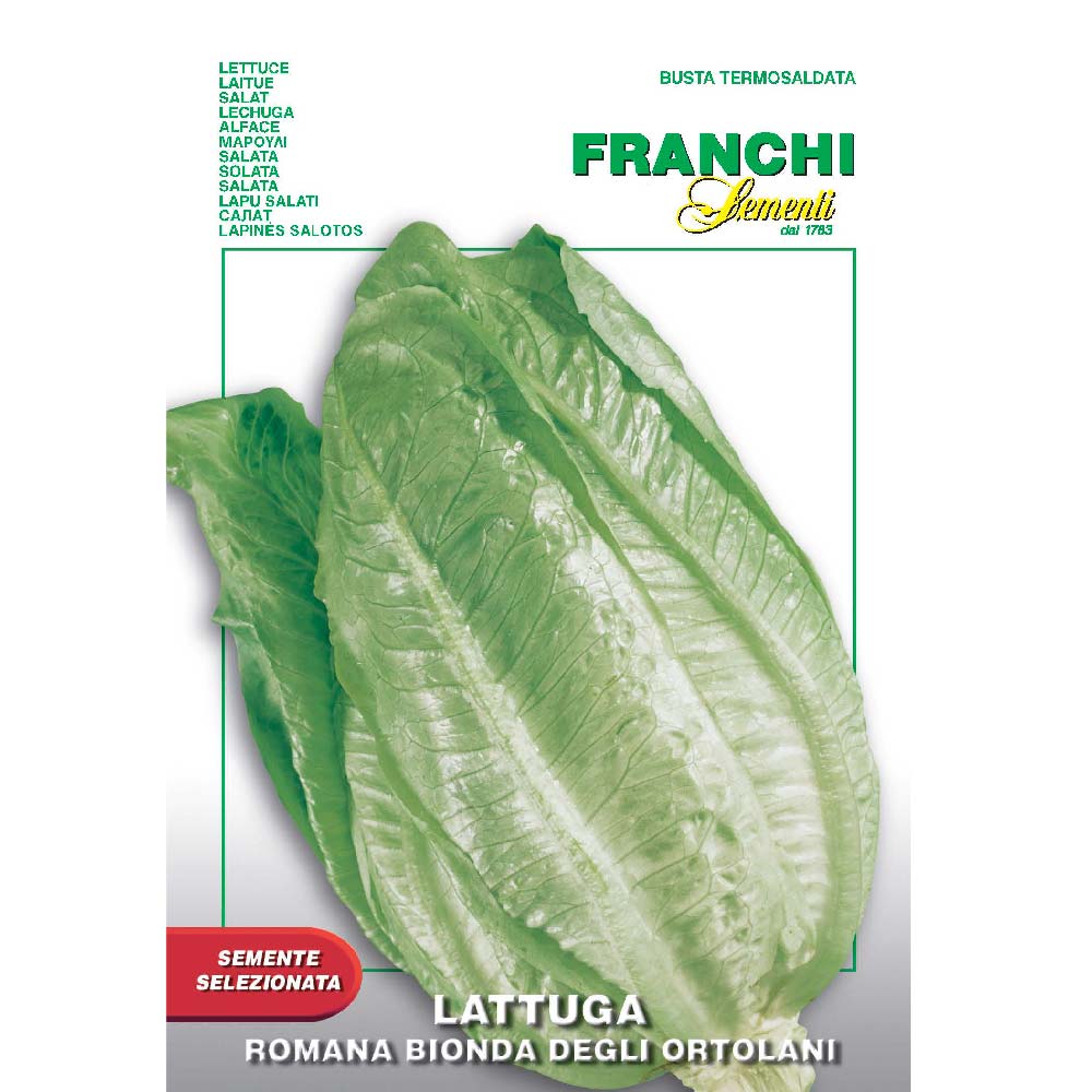 lettuce romana bionda degli ortolani seeds