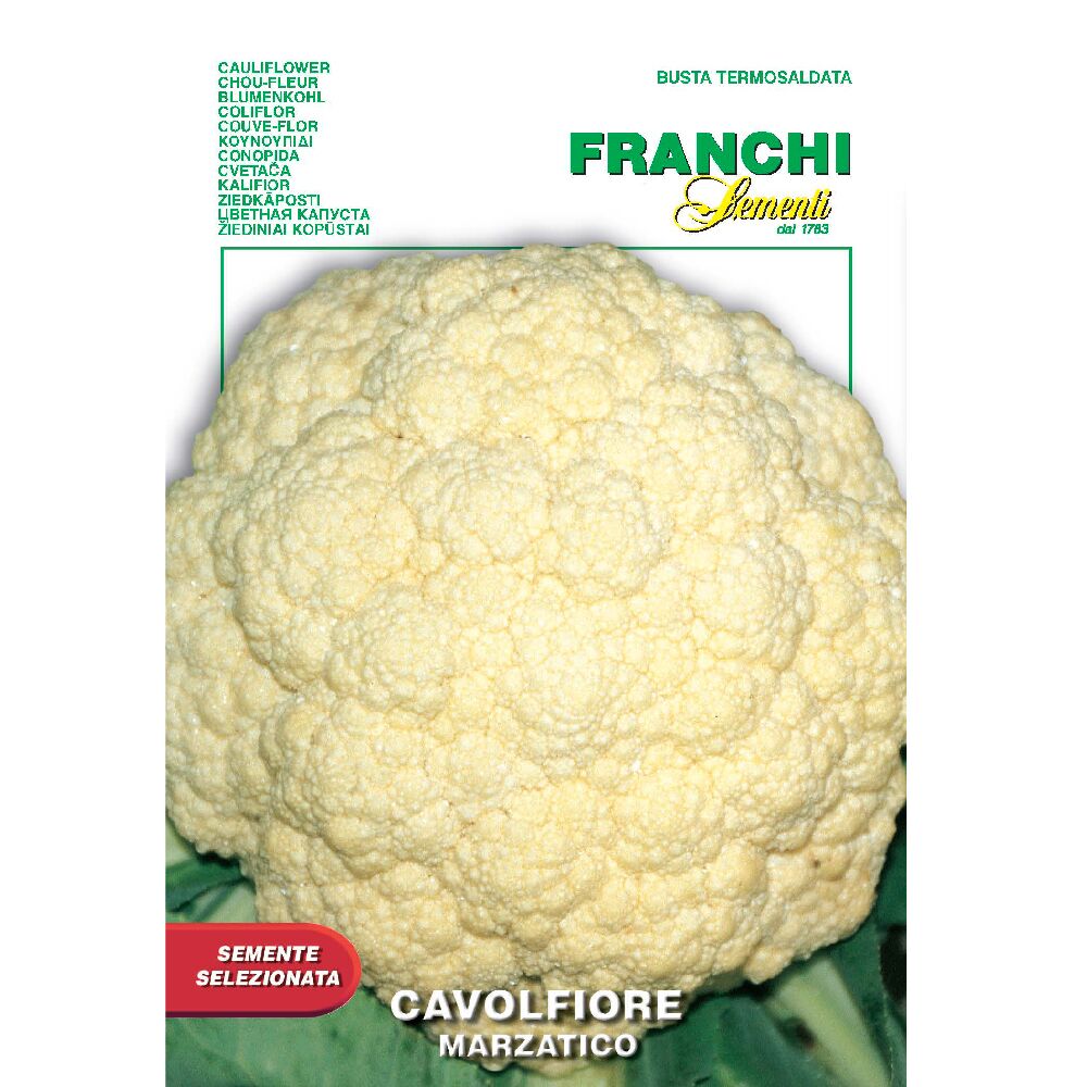 Cauliflower Marzatico
