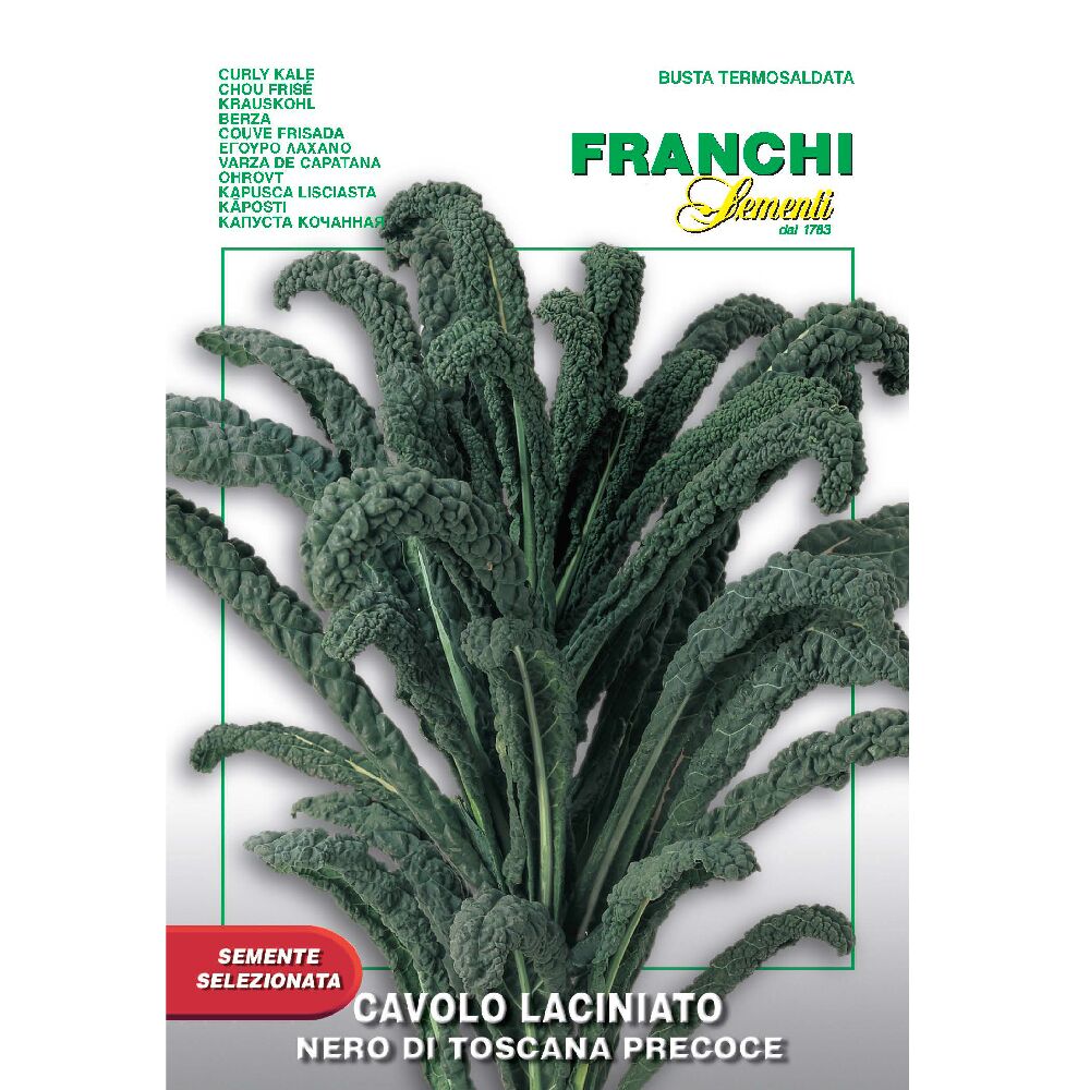 Curly Kale Nero Di Toscano
