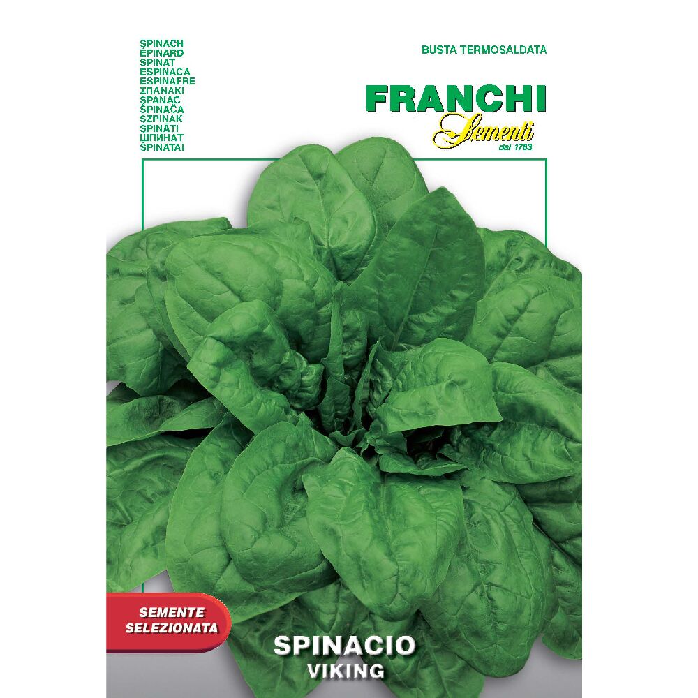 Spinach Viking