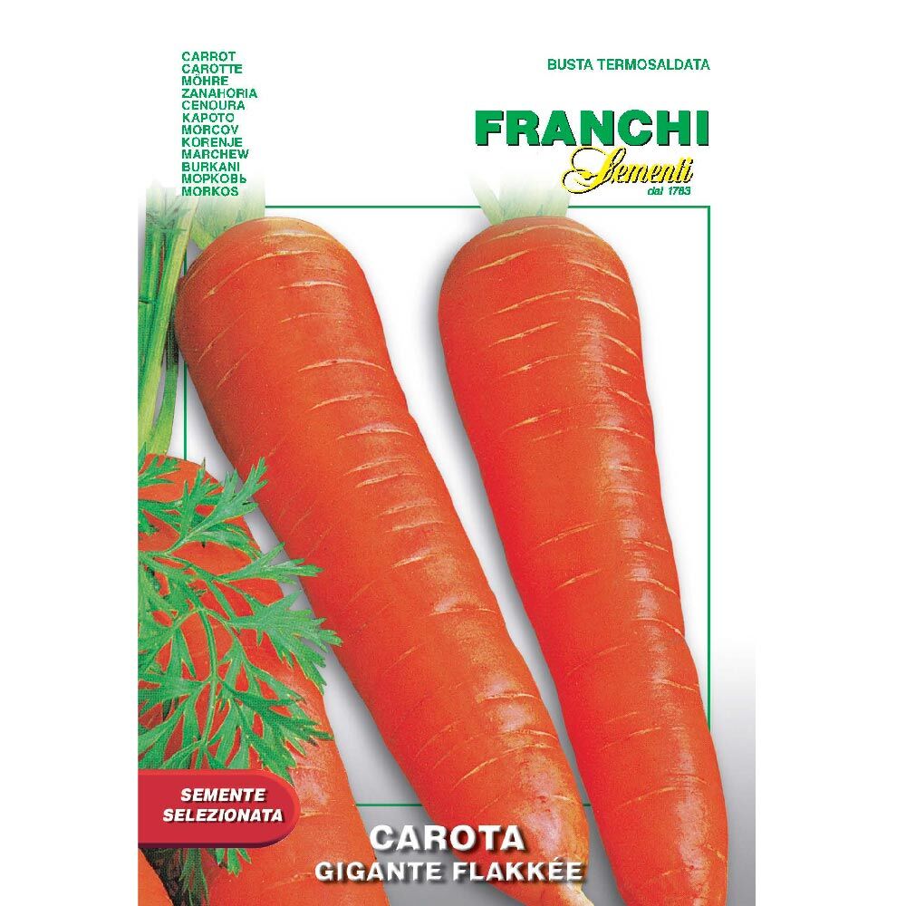 carrot giant flakke seeds