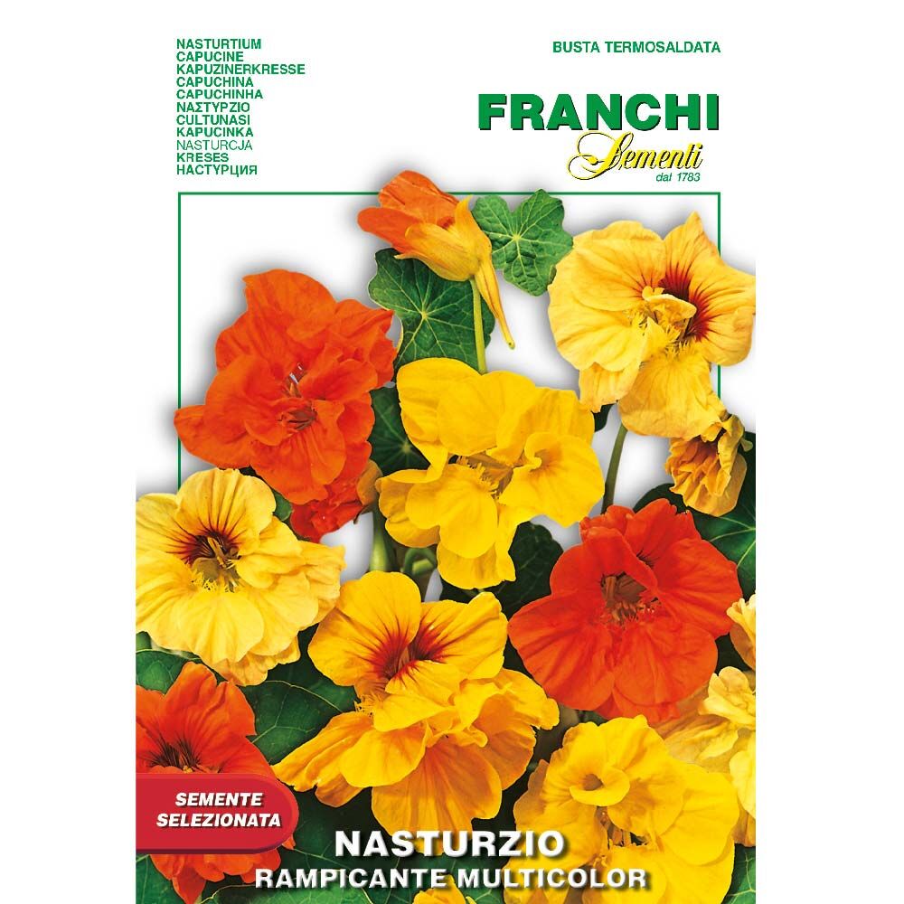 Nasturtiums Mixed Colours Seeds