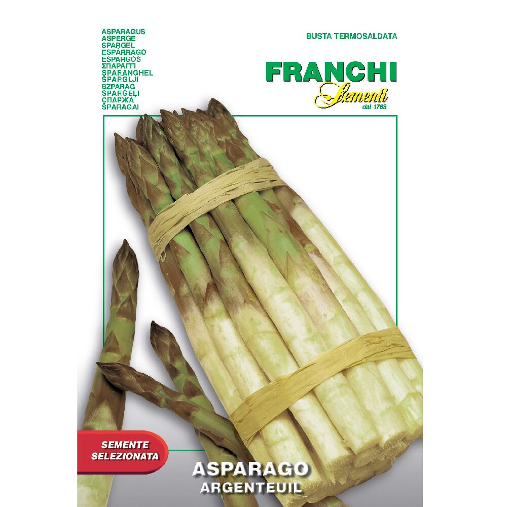 Asparagus Argenteuil