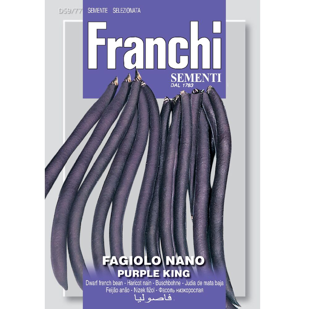 Bean Dwarf Purple King