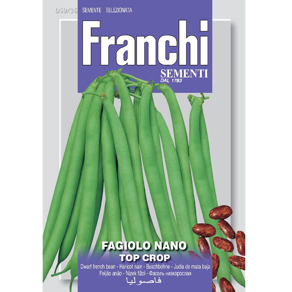 Beans Dwarf Top Crop